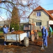 Podzimn� brig�da 2012